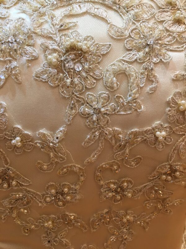 Champagne - Image 4