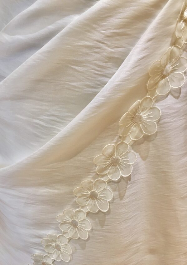 Papillon - Image 4