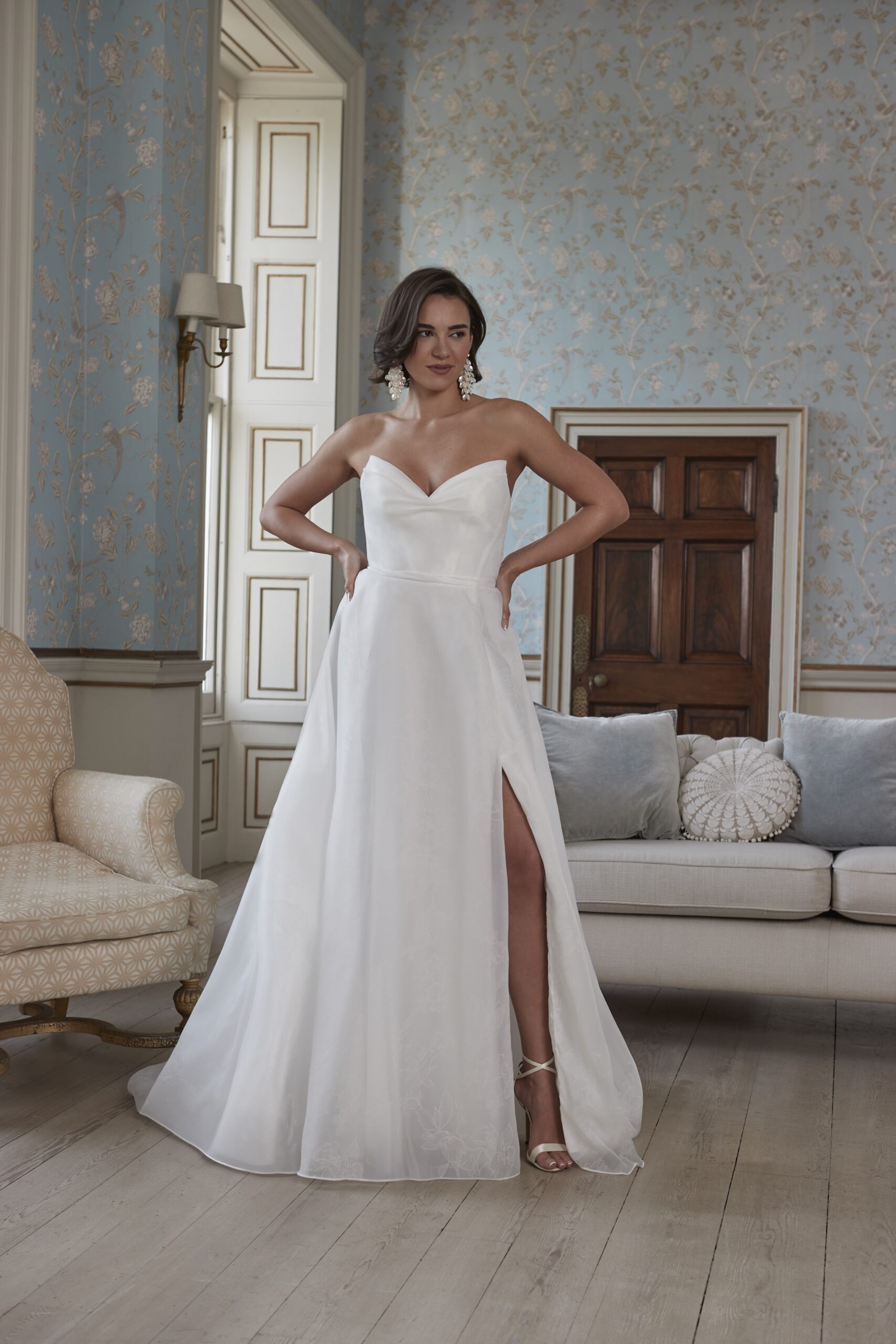 Paloma - Image 2
